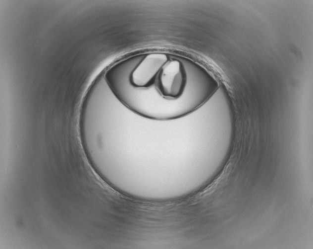 X0000116121326200911230923