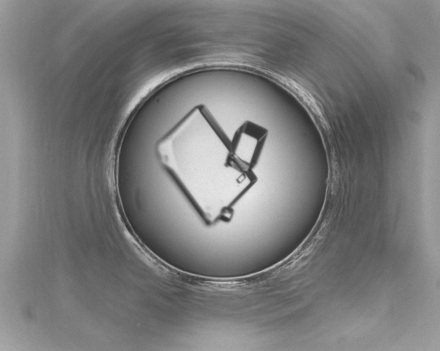 X0000116121342200911230923
