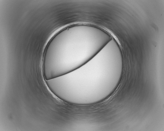X0000116121343200911230923