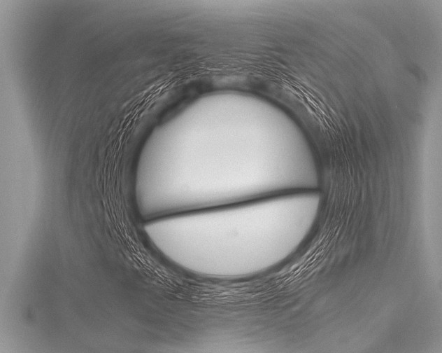 X0000116121345200911230922