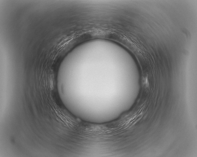 X0000116121348200911230922