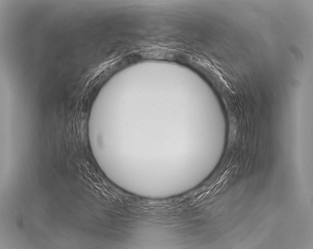 X0000116121350200911230922