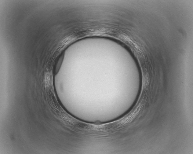 X0000116121353200911230922