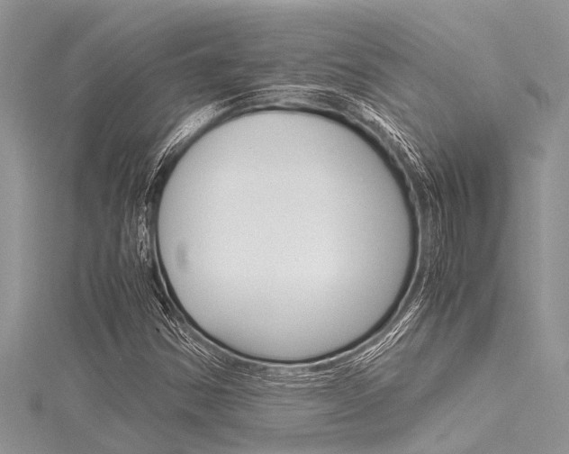 X0000116121354200911230922
