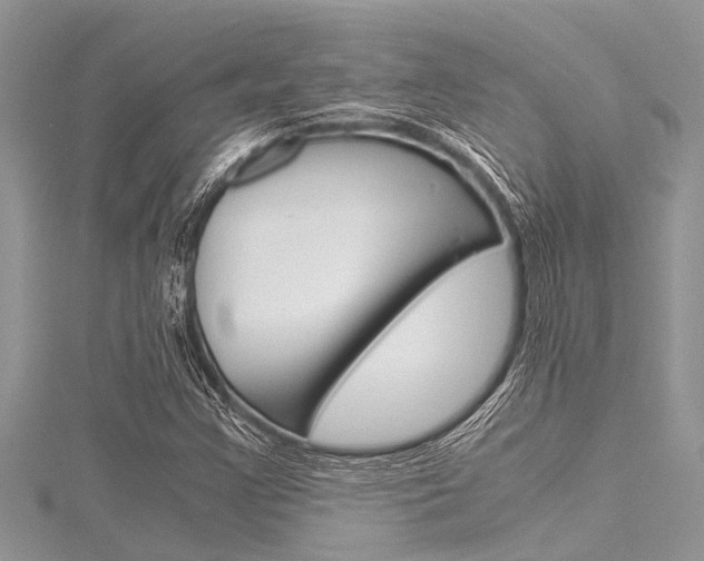 X0000116121355200911230922