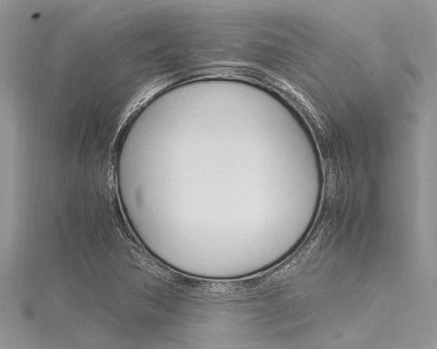 X0000116121362200911230922