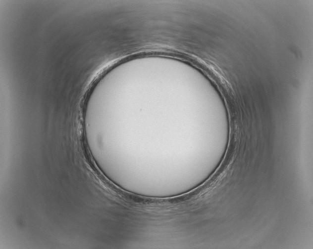 X0000116121363200911230922