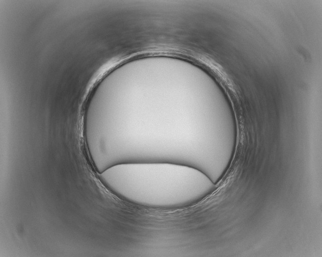 X0000116121366200911230922