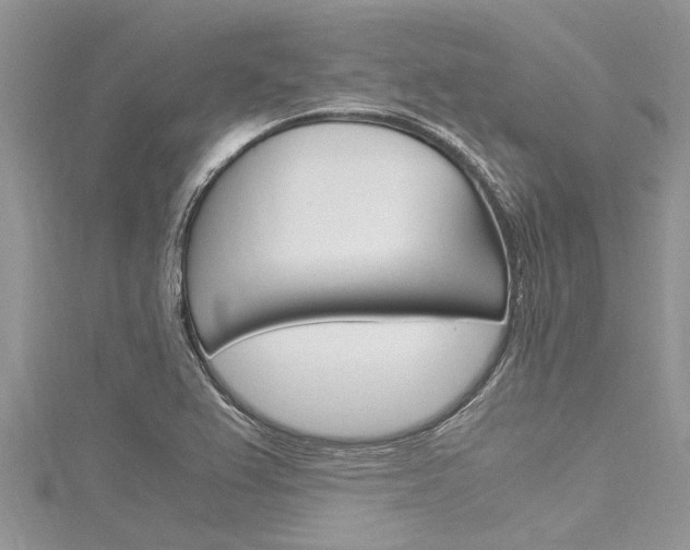 X0000116121367200911230922