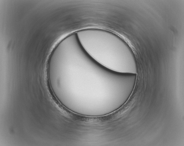 X0000116121375200911230922