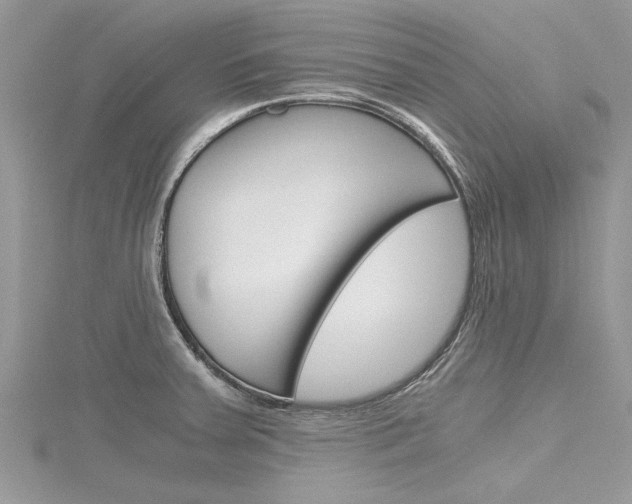 X0000116121379200911230922