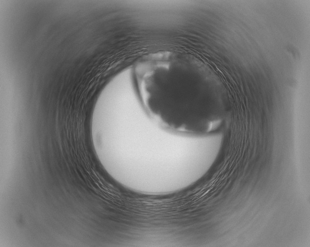 X0000116121394200911230921