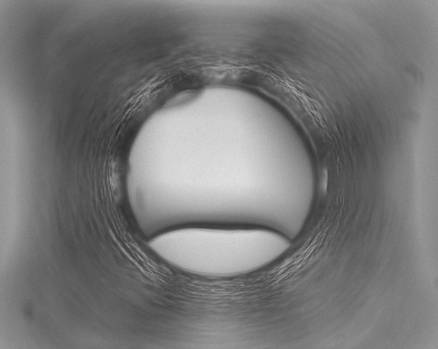 X0000116121396200911230921