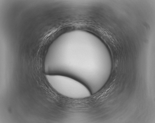 X0000116121398200911230921
