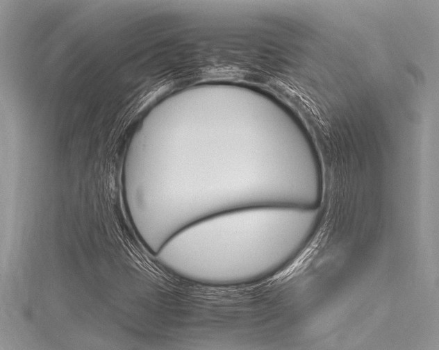 X0000116121401200911230921