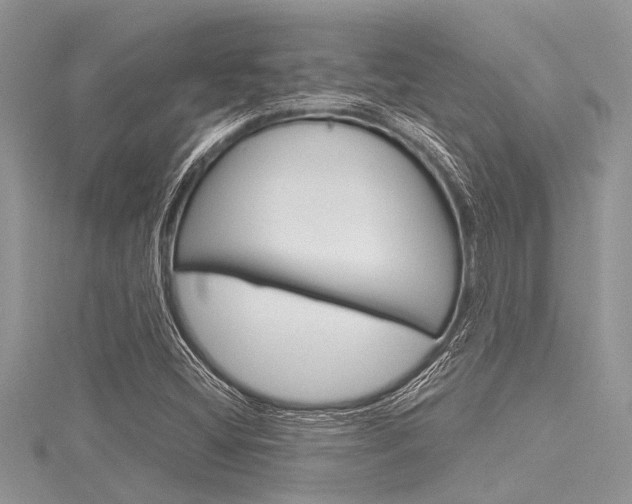 X0000116121404200911230921
