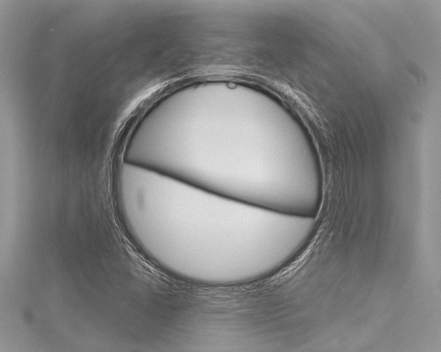 X0000116121406200911230921
