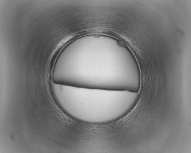 X0000116121410200911230921