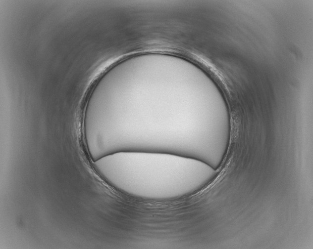 X0000116121415200911230921