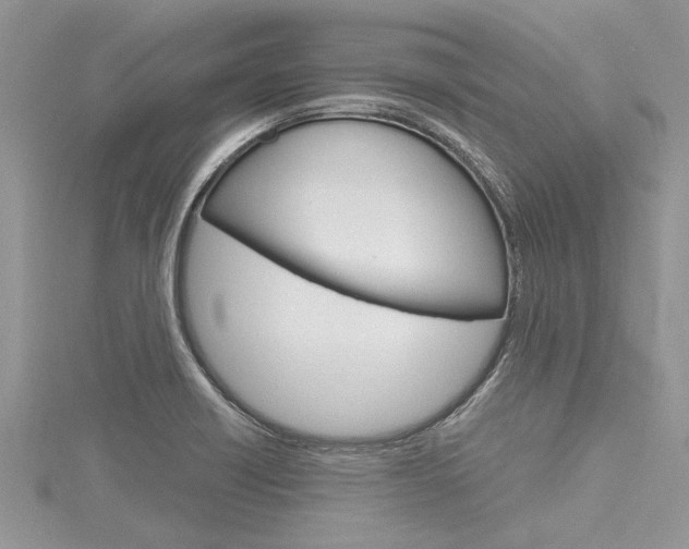 X0000116121418200911230921