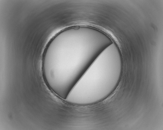 X0000116121424200911230922