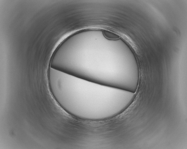 X0000116121428200911230922