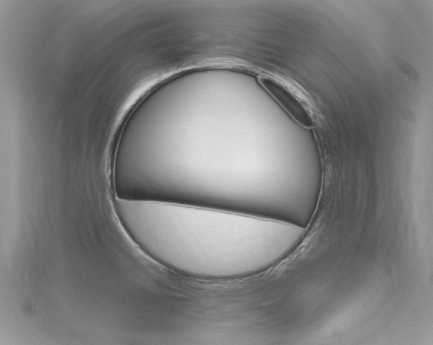 X0000116121430200911230922