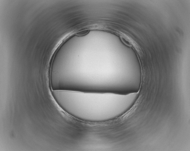 X0000116121434200911230922