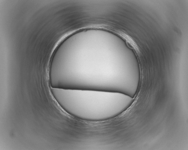 X0000116121436200911230922