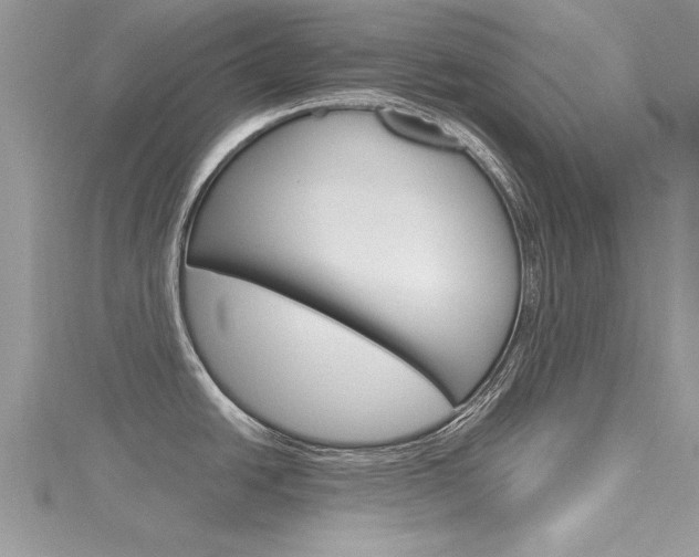 X0000116121438200911230922