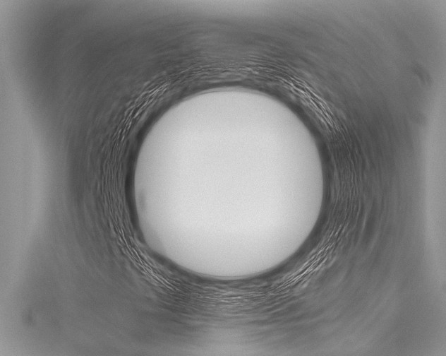 X0000116121441200911230921