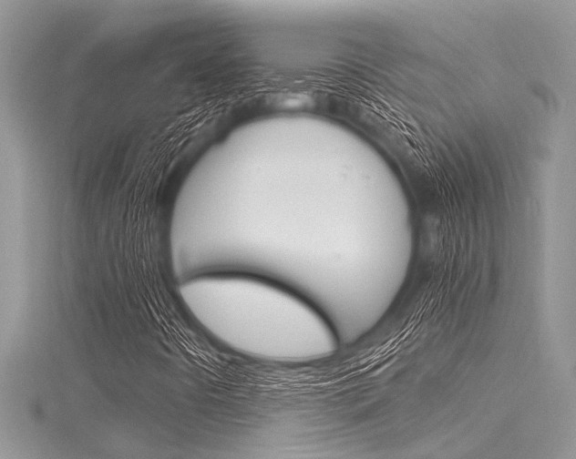 X0000116121442200911230921