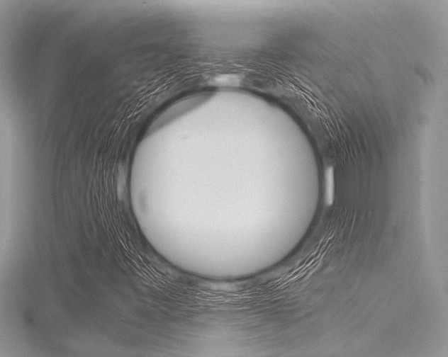 X0000116121443200911230921