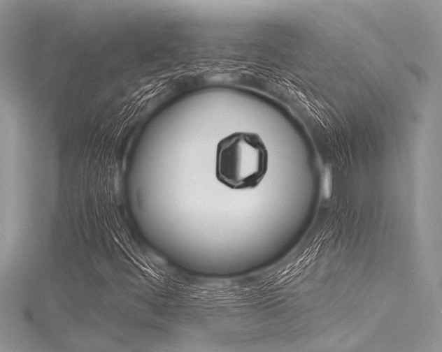 X0000116121444200911230921