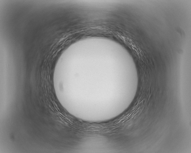 X0000116121445200911230921