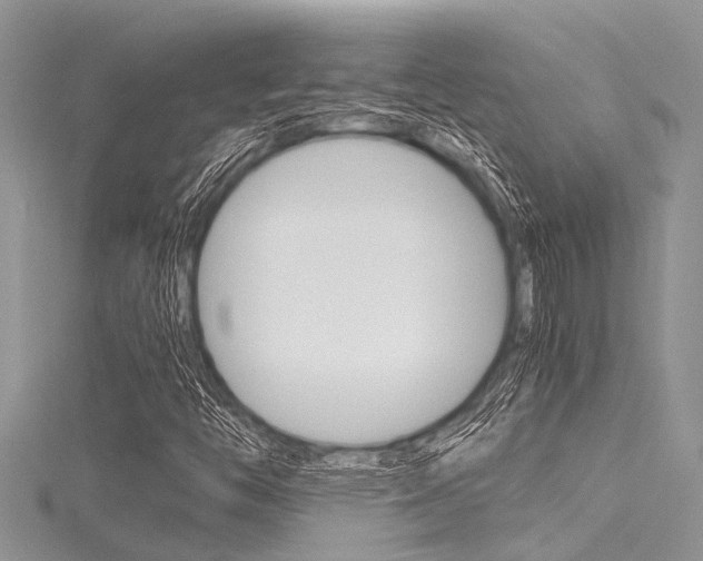 X0000116121446200911230921