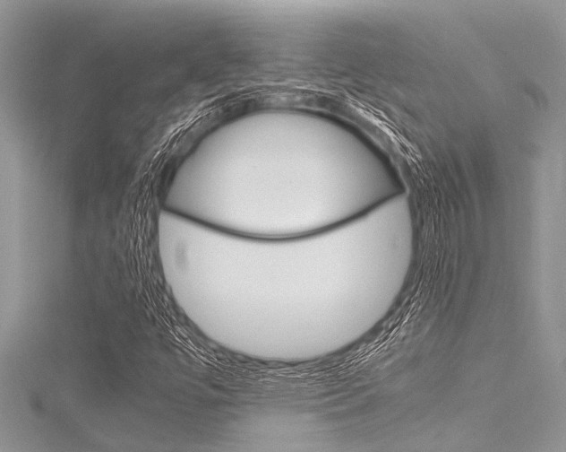 X0000116121447200911230921