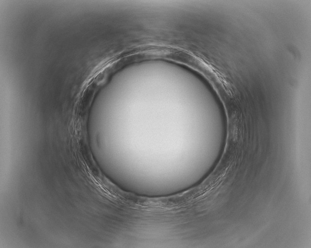 X0000116121448200911230921
