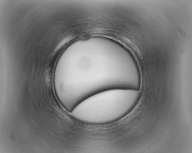 X0000116121450200911230921