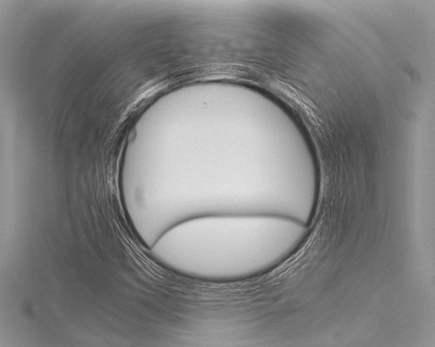 X0000116121451200911230921