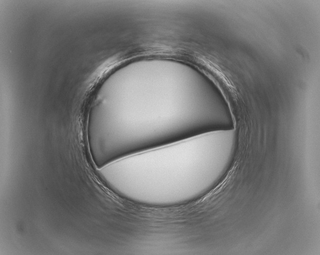 X0000116121455200911230921