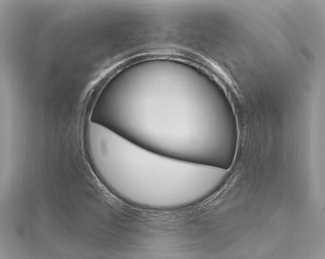 X0000116121456200911230921