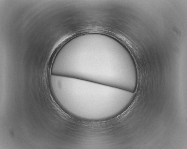 X0000116121458200911230921