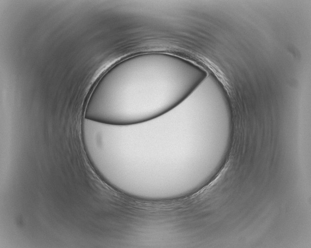 X0000116121465200911230921