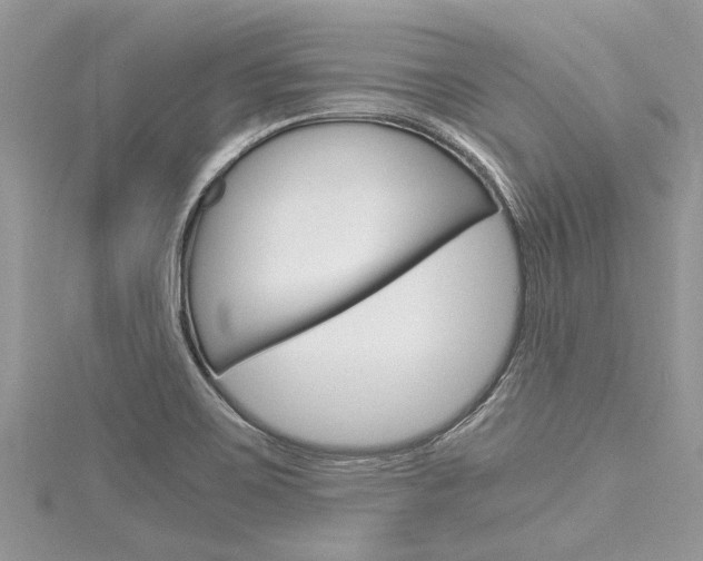 X0000116121467200911230921