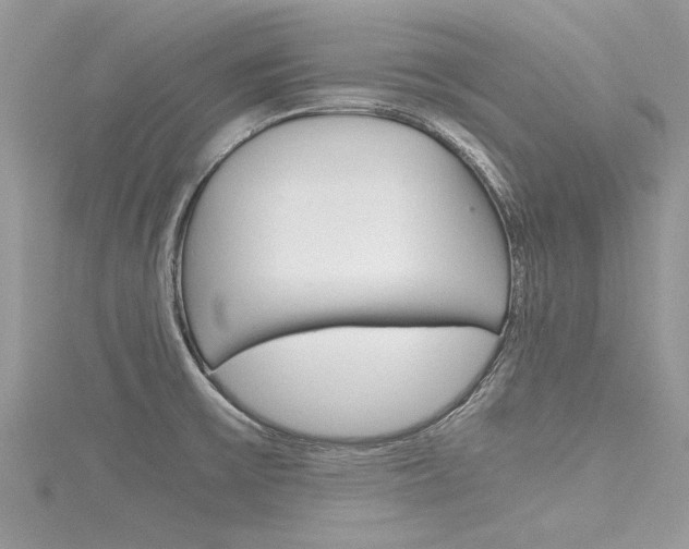 X0000116121475200911230921