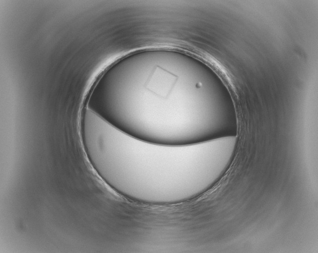 X0000116121480200911230920