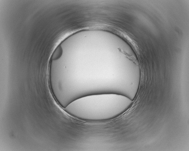 X0000116121487200911230920