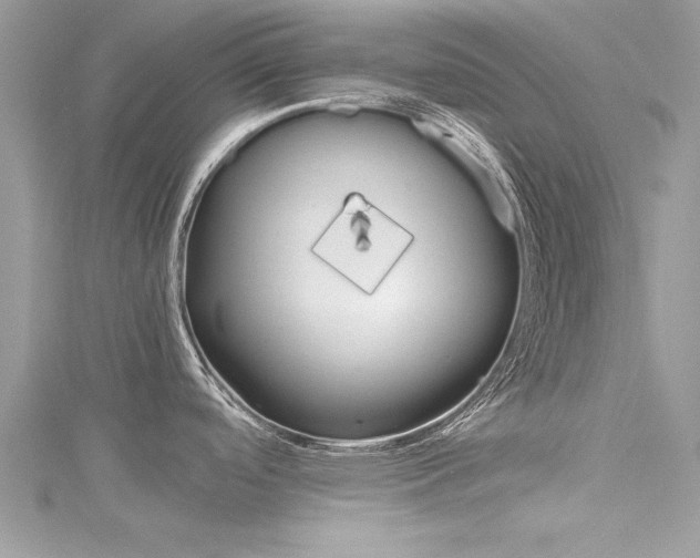 X0000116121488200911230920