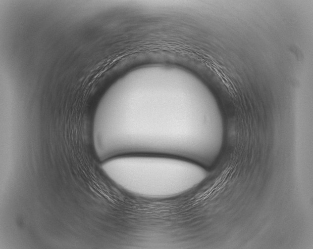 X0000116121490200911230920